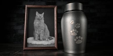 Memorial urn and pet portrait representing compassionate end of life care